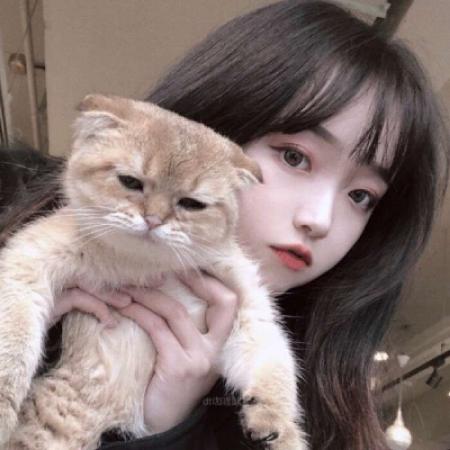 斋藤一（身份：前新选组第三分队组长、“壬生狼”） - 猪蜜蜜电视剧大全在线观看11 - APP看电影